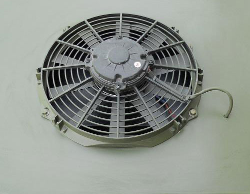 ��������һ��ԭ���� :�۰������׳�ţ�tpu���ϣ�